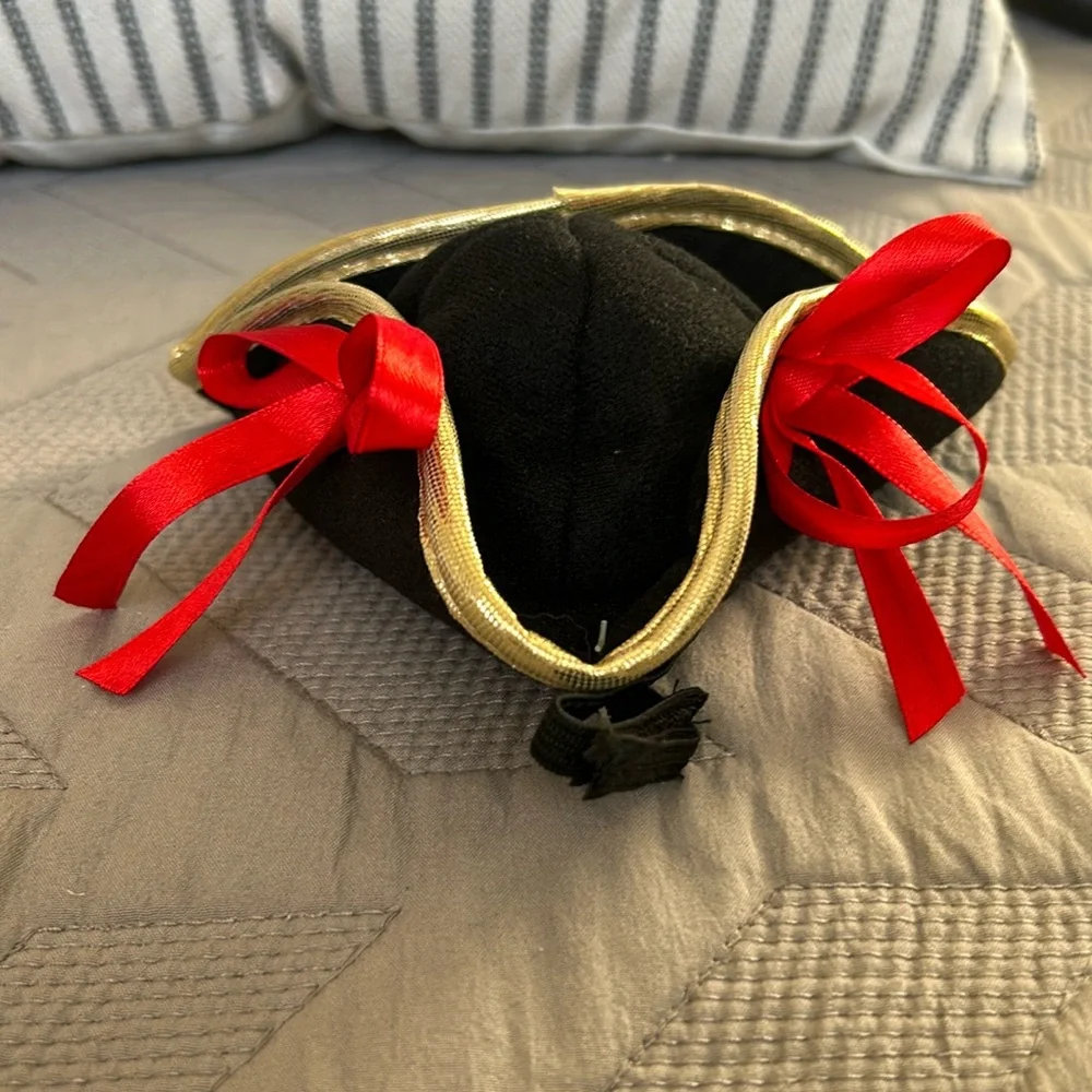 Cat small dog pirate hat 🏴‍☠️
